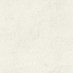 416916_600_300.jpg