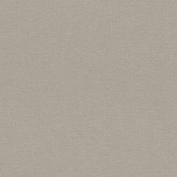 452037_530_0.jpg
